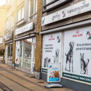 Skal din hund neutraliseres? Her er alt, du skal vide