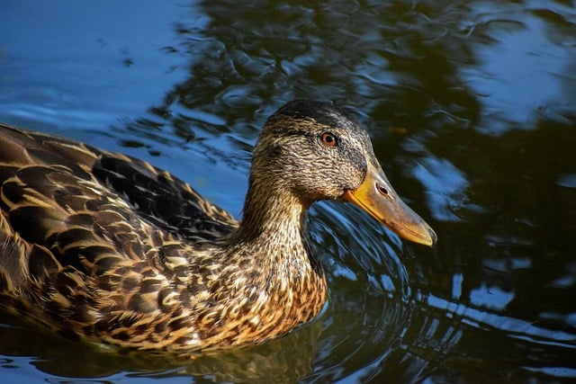 10 smarte tips til at knække krydsordskoderne
