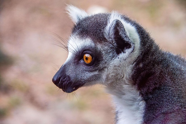 Die evolution des arbeitsspeichers: Von ddr1 bis ddr5