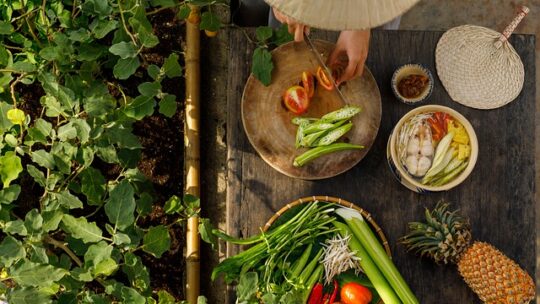 Sous-vide und mehr: Moderne garmethoden für anfänger